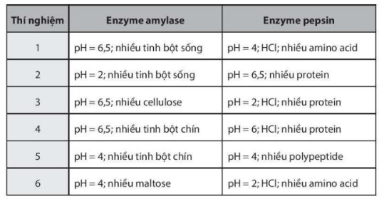 Một nhà khoa học đã làm thí nghiệm sau đây để kiểm tra hoạt tính của enzyme amylase trong nước bọt và enzyme pepsin ...