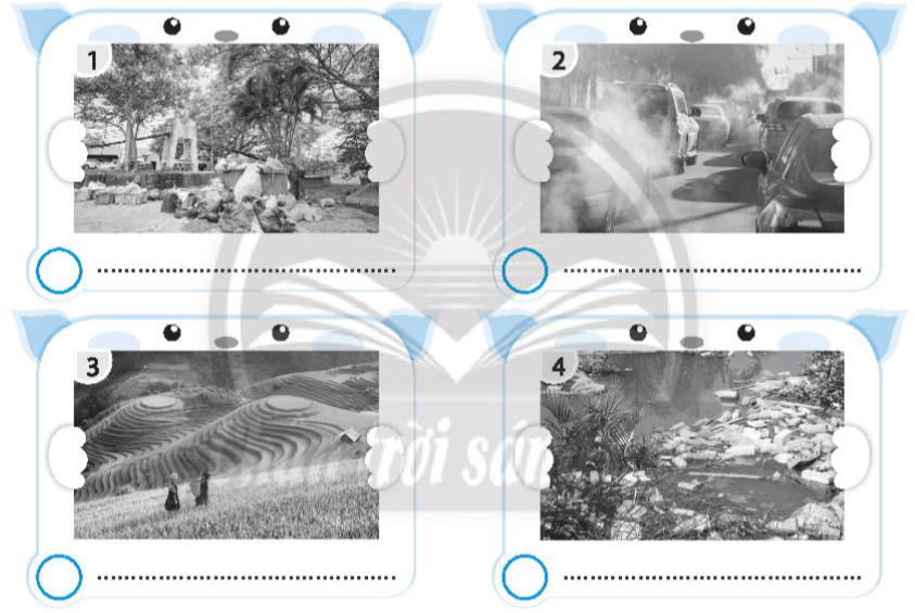 Đánh dấu X vào  dưới những bức ảnh thể hiện môi trường bị ô nhiễm và mô tả những dấu hiệu ô nhiễm trong các bức ảnh đó