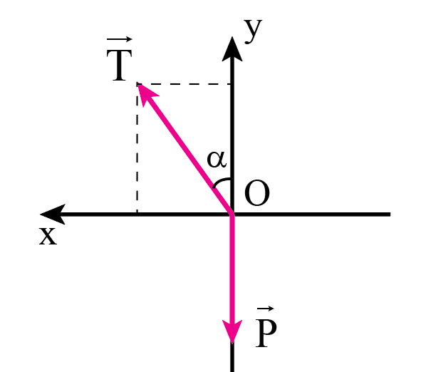 Vẽ hợp lực của lực căng dây vecto T và trọng lực vecto P, từ đó xác định lực hướng tâm